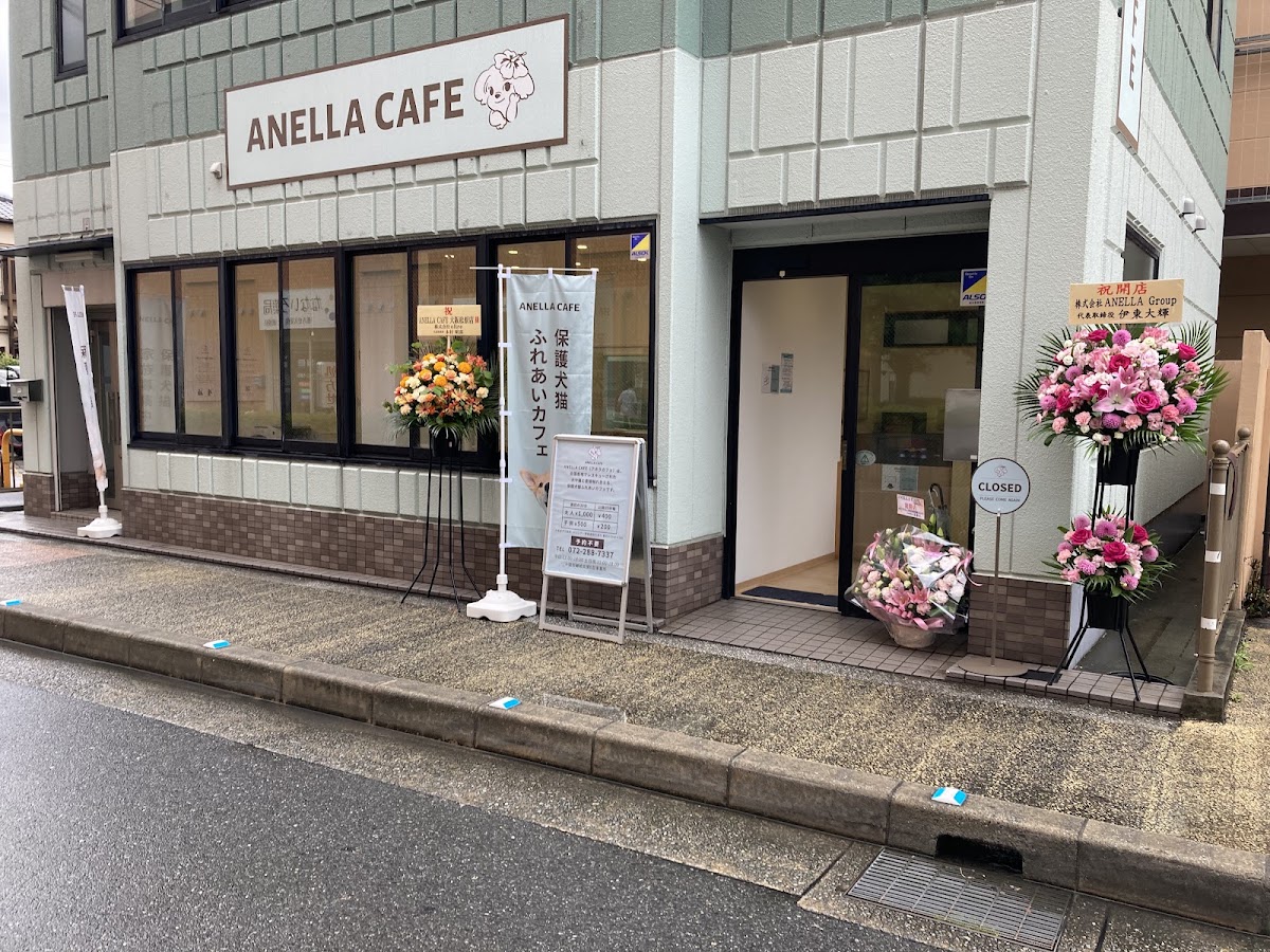 ANELLA CAFE【保護犬猫ふれあいカフェ】大阪松原店の実際の写真