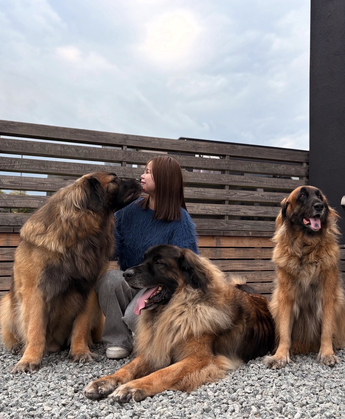 モグントフント mog_und_hundの実際の写真