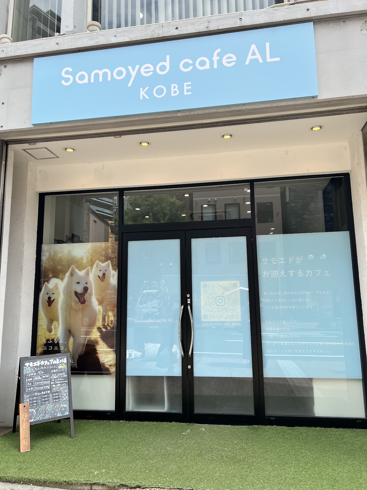 犬カフェ サモエドカフェ アル 神戸店の実際の写真