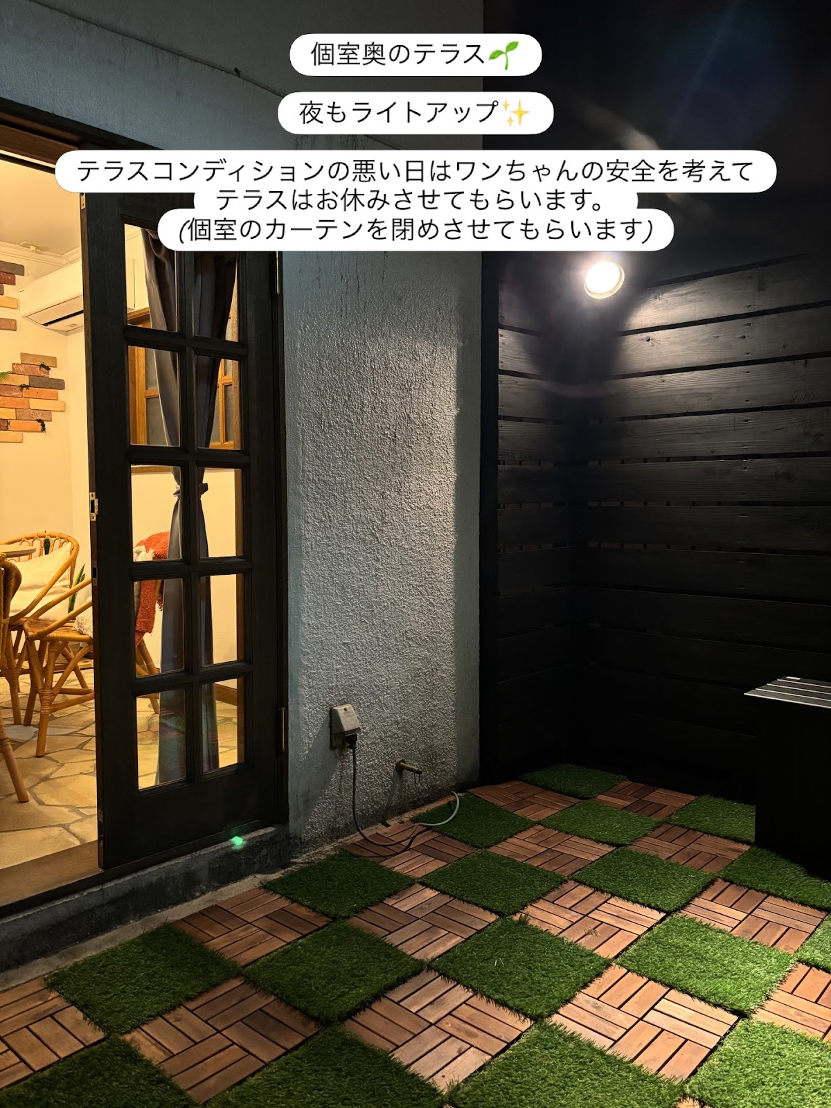 Dog café mellow