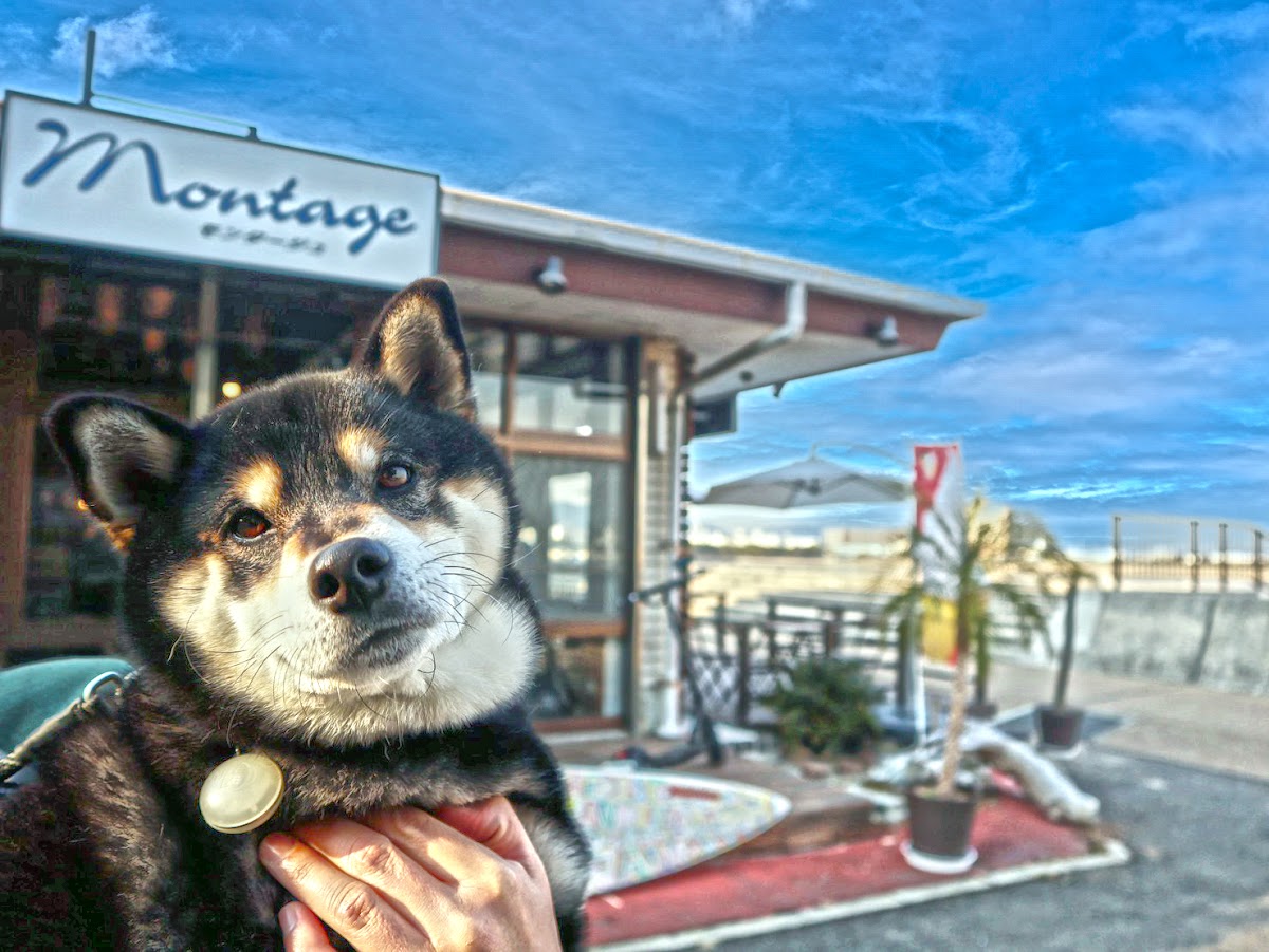 Beach Dog Cafe montageの実際の写真