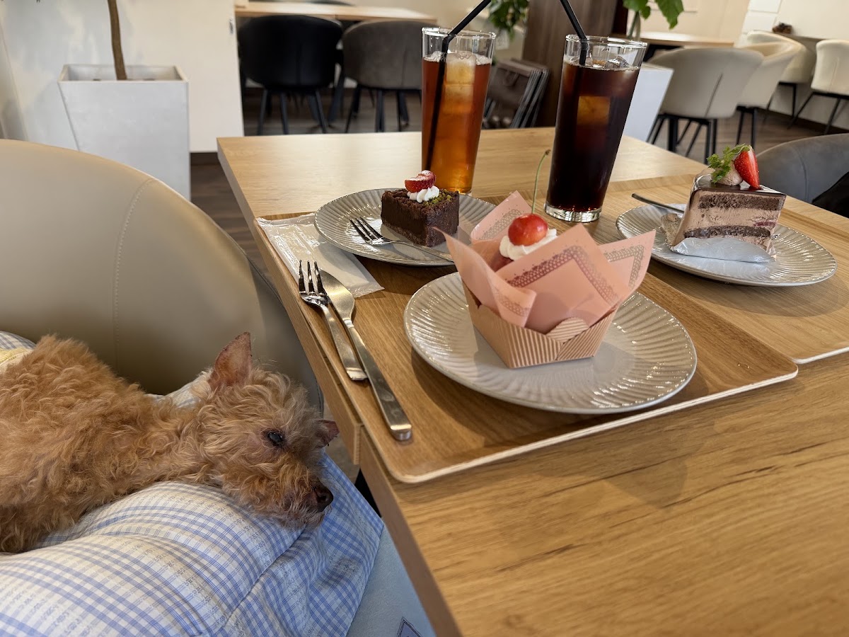 caff+è Rashiita カフェ•ラシータの実際の写真