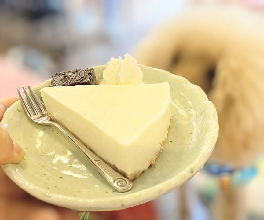 Dog cafeあのぴの実際の写真