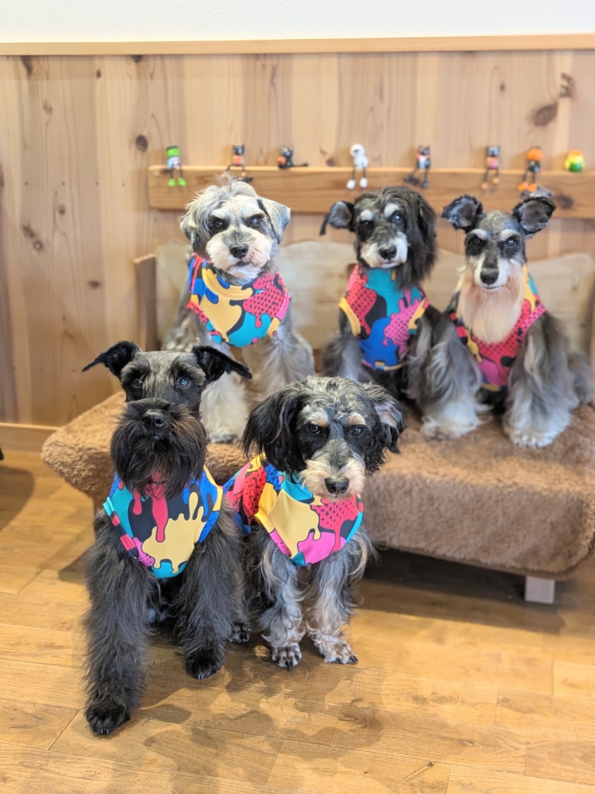 Dog cafeあのぴの実際の写真