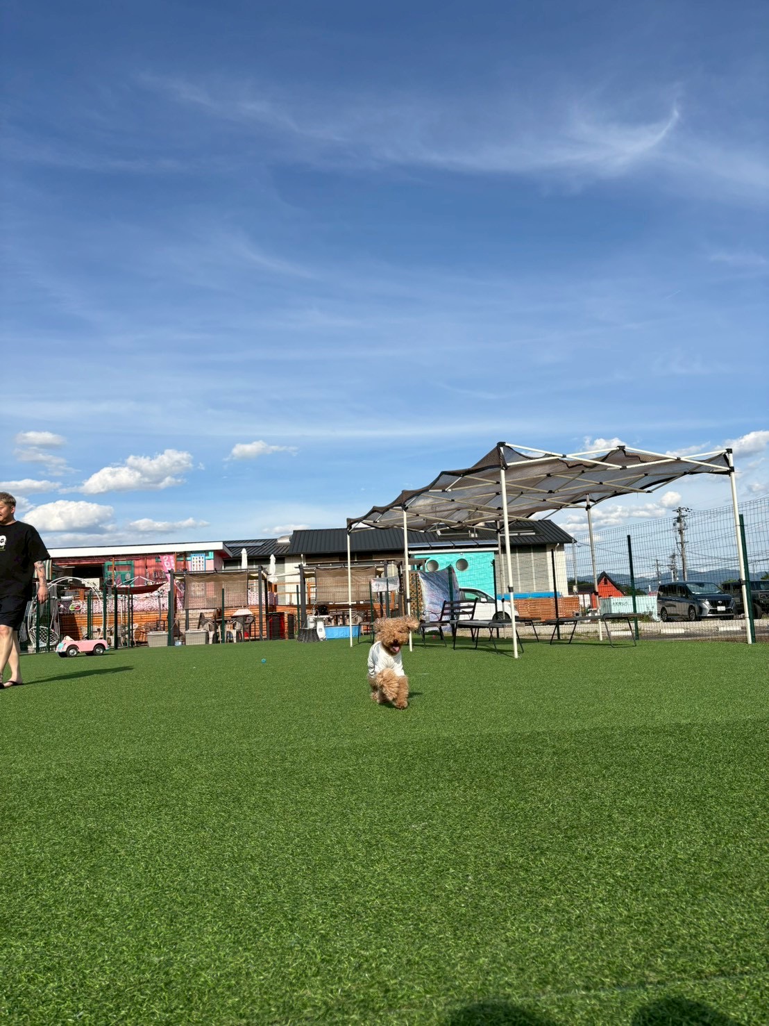 RACHEL dog & cafe レイチェル ドッグアンドカフェの実際の写真