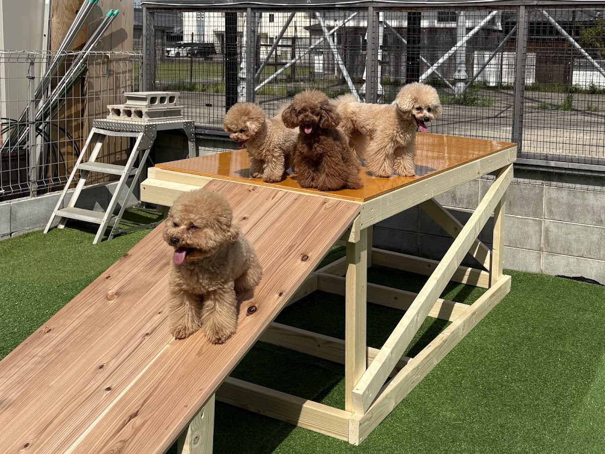 Cafe アーネラの実際の写真