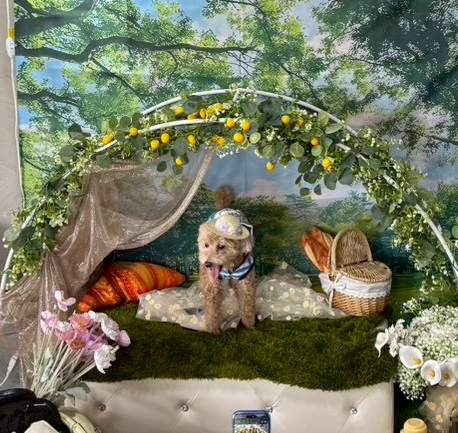 Cafe アーネラの実際の写真