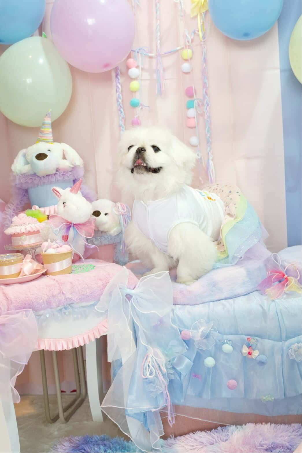 カフェGOU's ・ドッグランkukunaの実際の写真