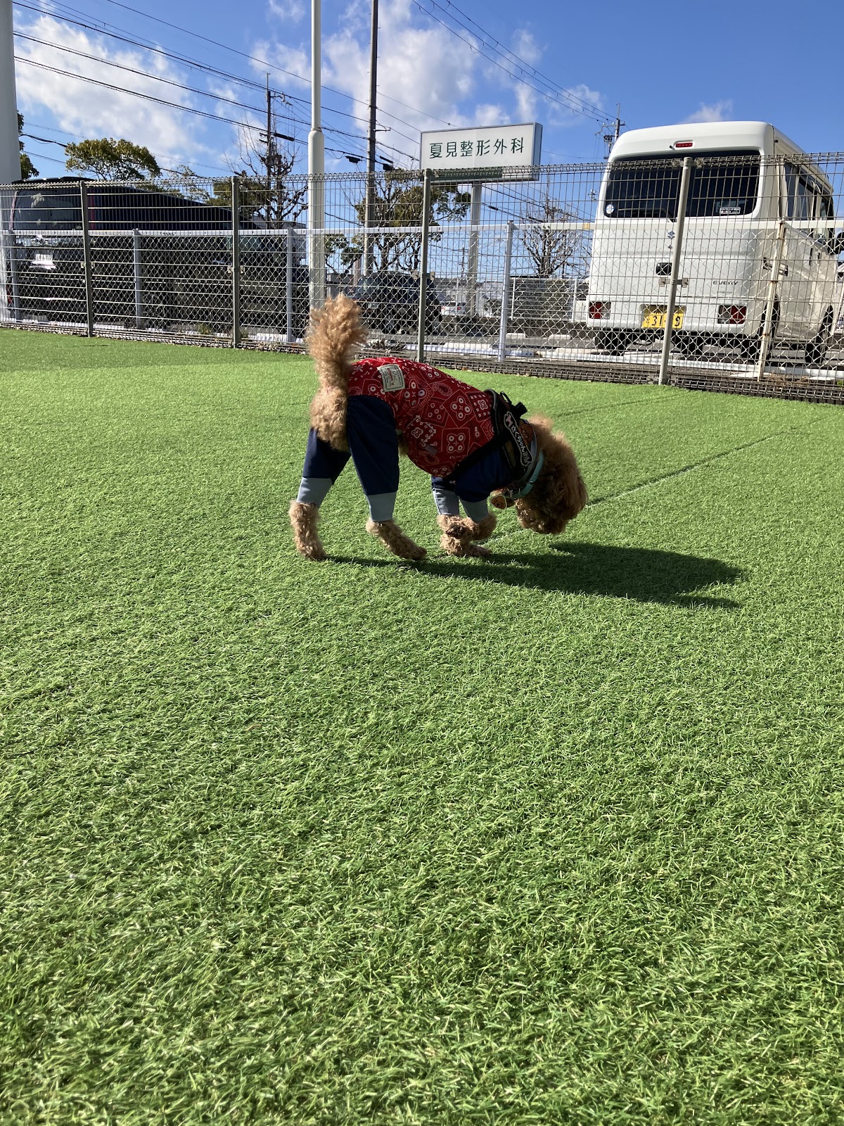 Dog Run Cafe Picの実際の写真
