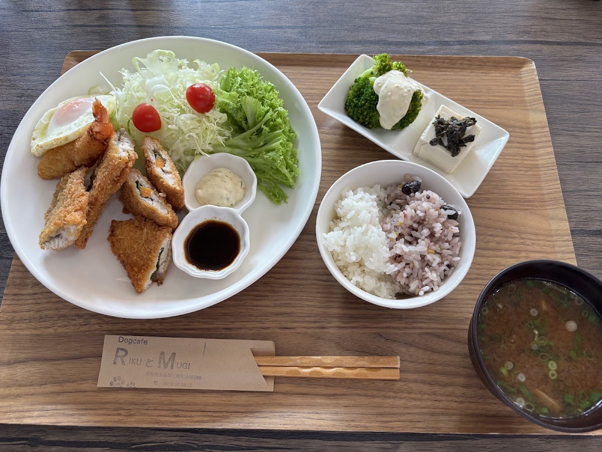 ドッグカフェ RikuとMugiの実際の写真