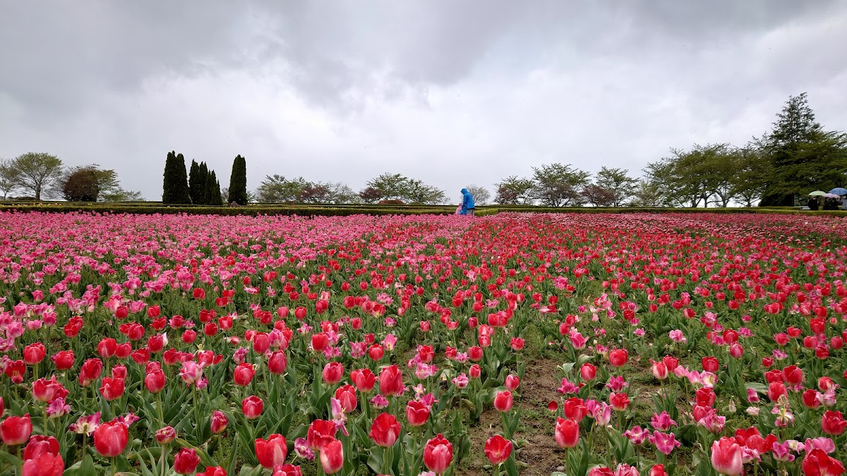 Ark館ヶ森の実際の写真