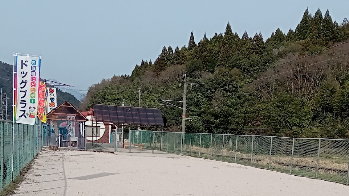 ドッグプラスの実際の写真