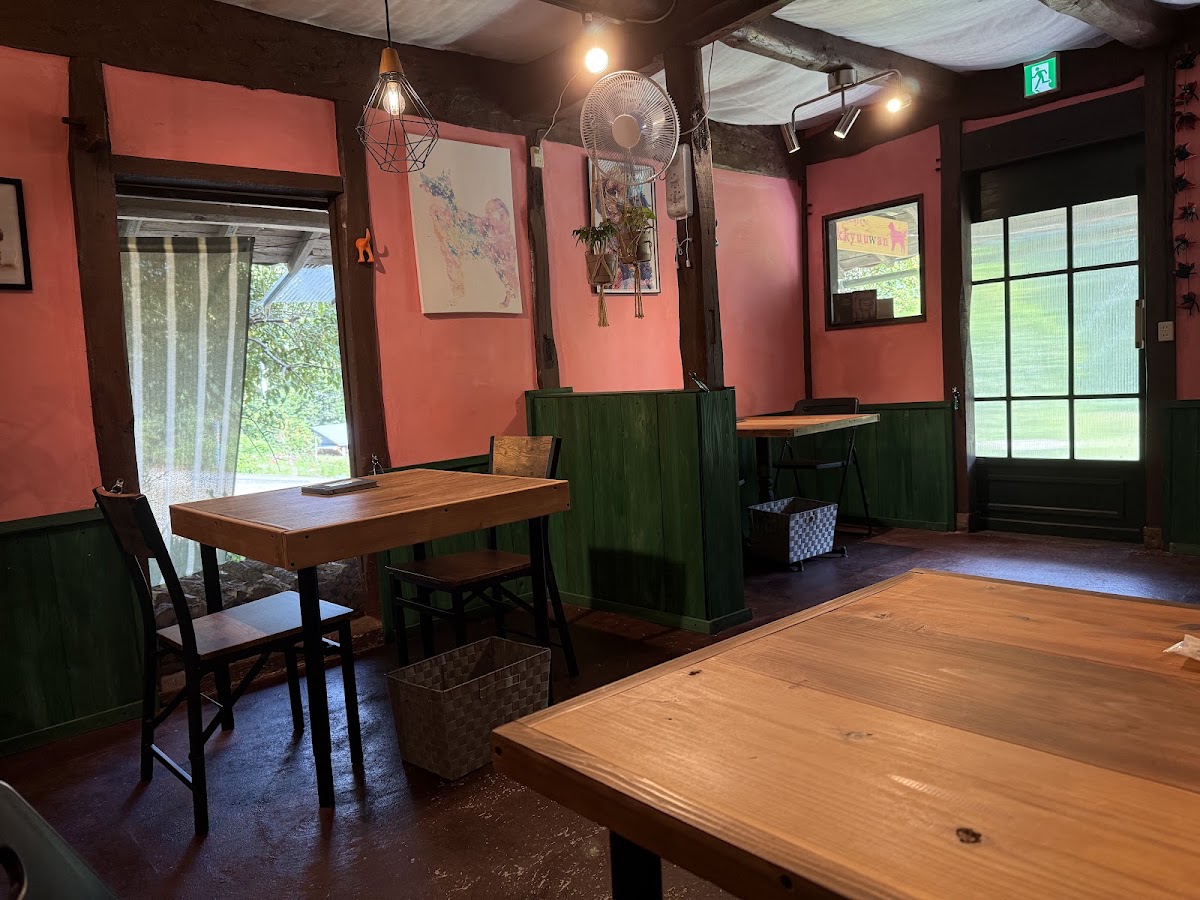Dog Cafe ikkyuu_wan ドッグカフェ イッキュウワンの実際の写真