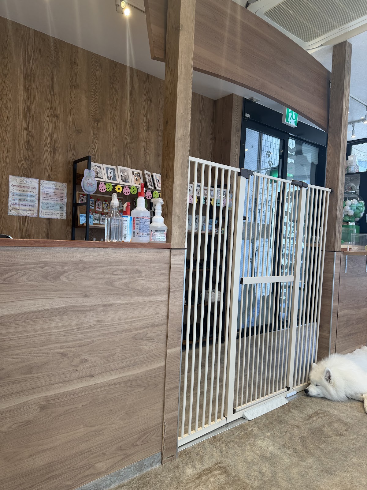 サモエドカフェ サモエドパーク岡山店