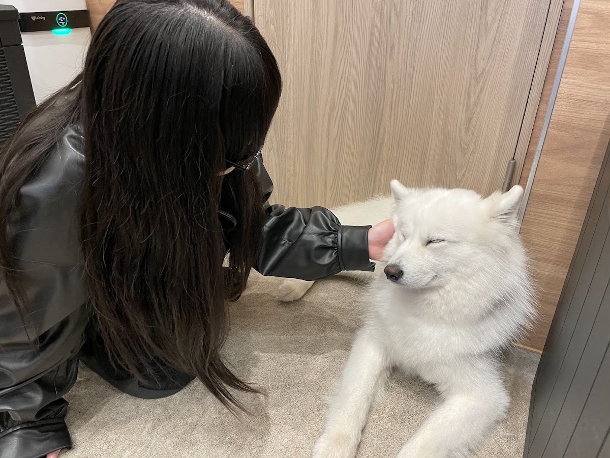 サモエドカフェ サモエドパーク岡山店の実際の写真