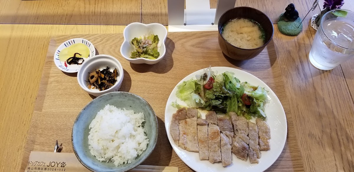 ドッグカフェJOYの実際の写真