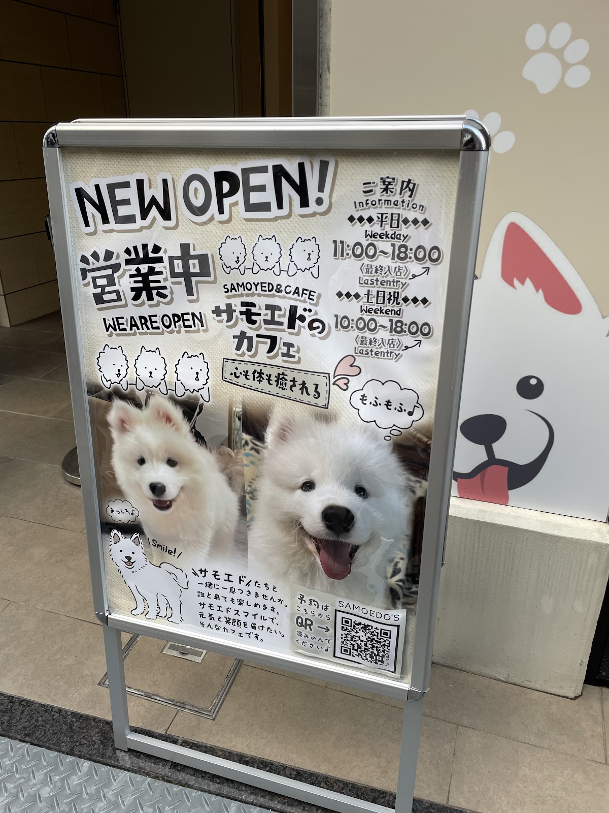 サモエドカフェ SAMOEDO'S 広島店の実際の写真