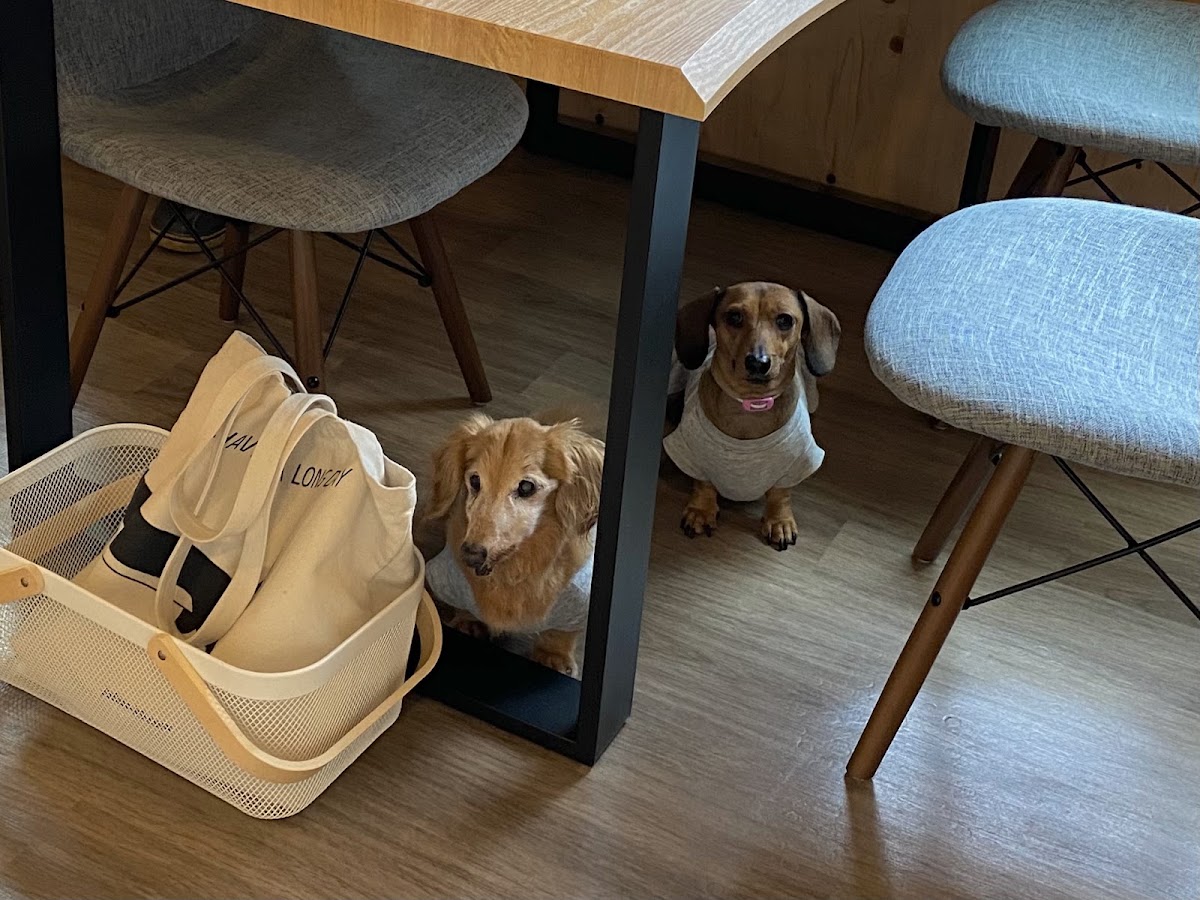 cafe&dogrun Tsunagの実際の写真