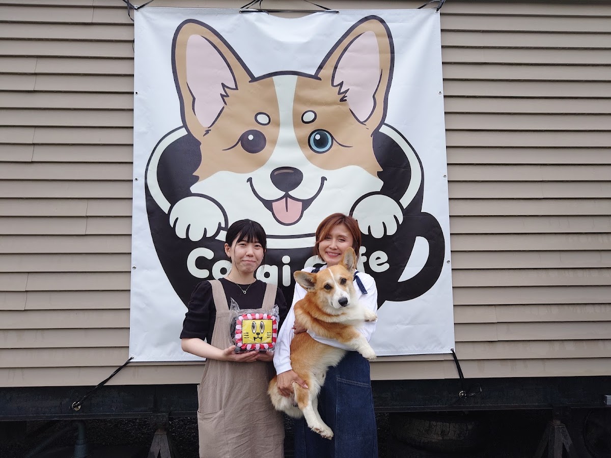 コーギーカフェりんりんの実際の写真