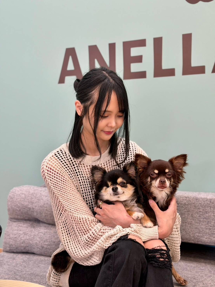 ANELLA CAFE 【保護犬猫ふれあいカフェ】高松中央店の実際の写真