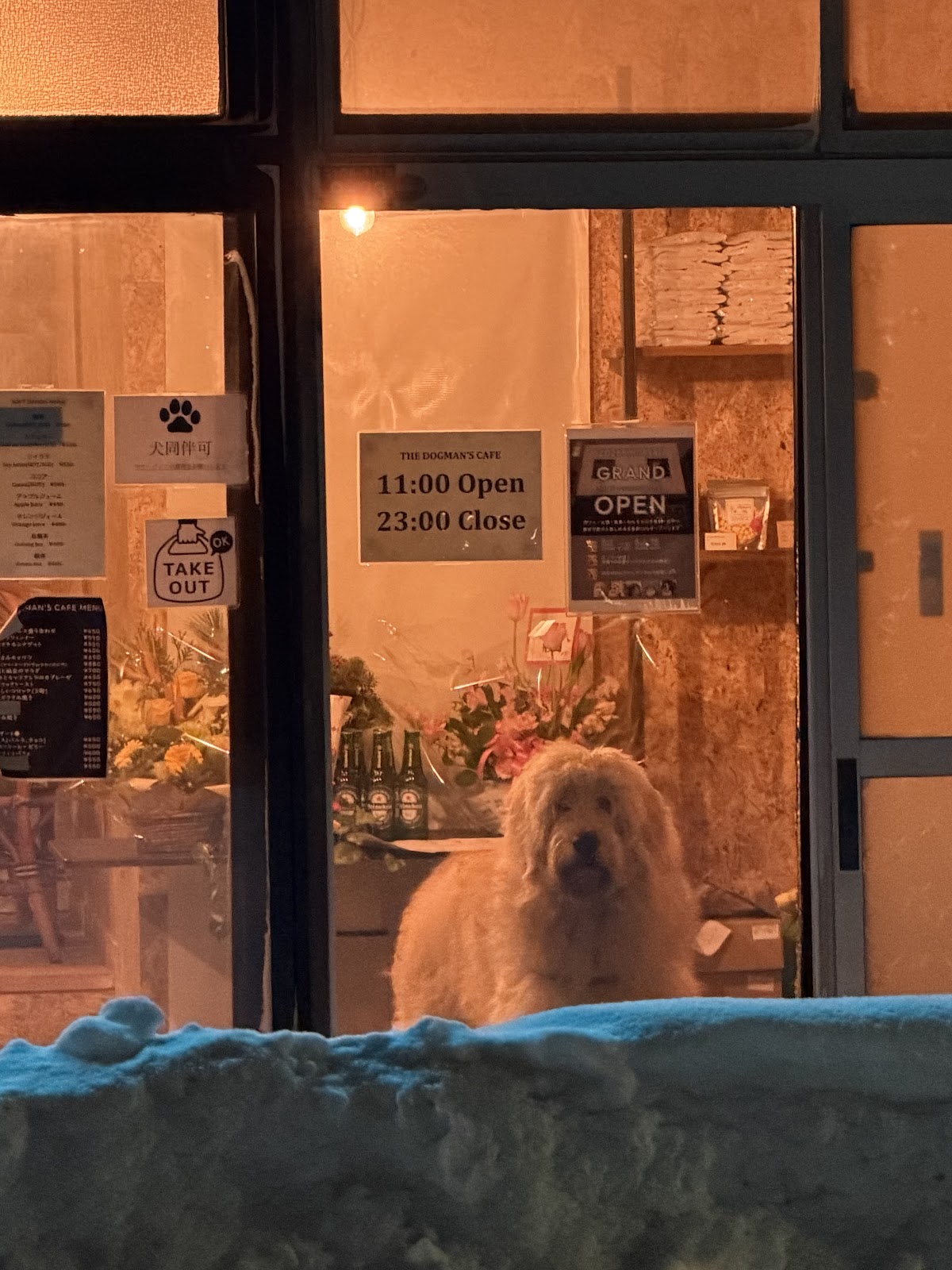 THE DOGMAN'S CAFEの実際の写真