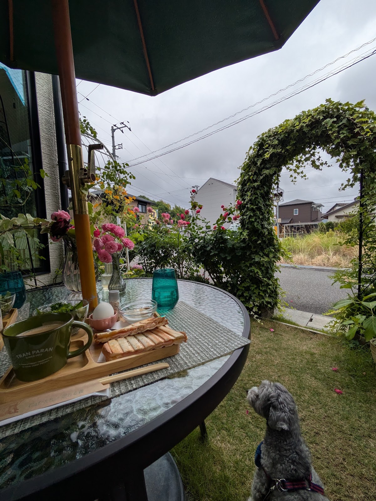 Cafe&Bar 眠れる森