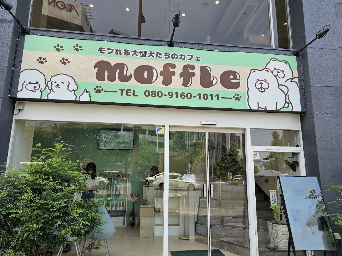 《もっふる》モフれる大型犬たちのカフェ/ドッグカフェ(福岡天神店)