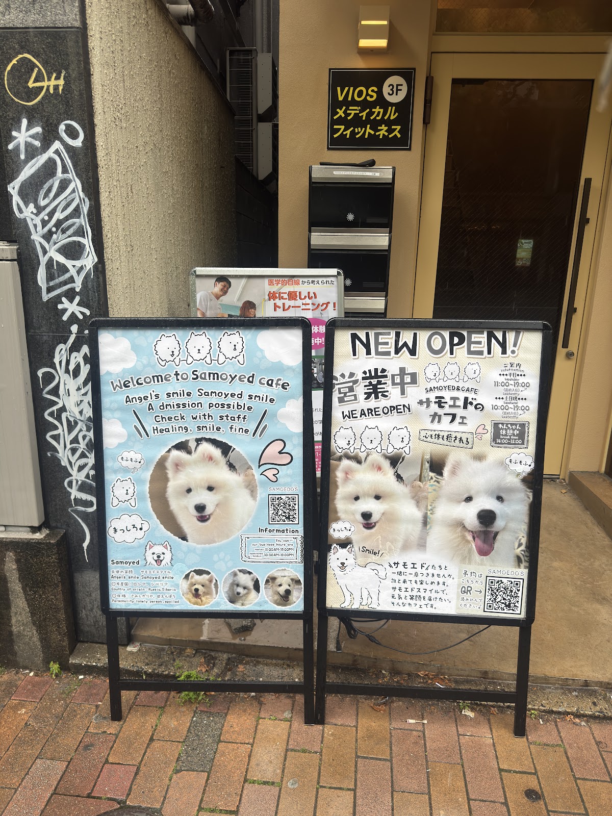 サモエドカフェ サモエドパーク福岡天神店