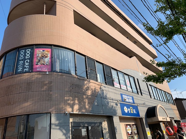 犬カフェ＆DOGラン ココハウス（COCOHOUSE)の実際の写真