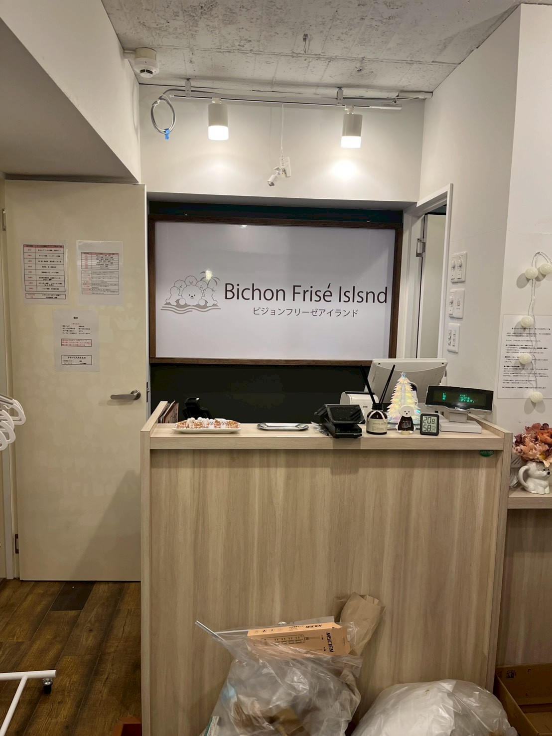 ビションフリーゼアイランド福岡大名店の実際の写真