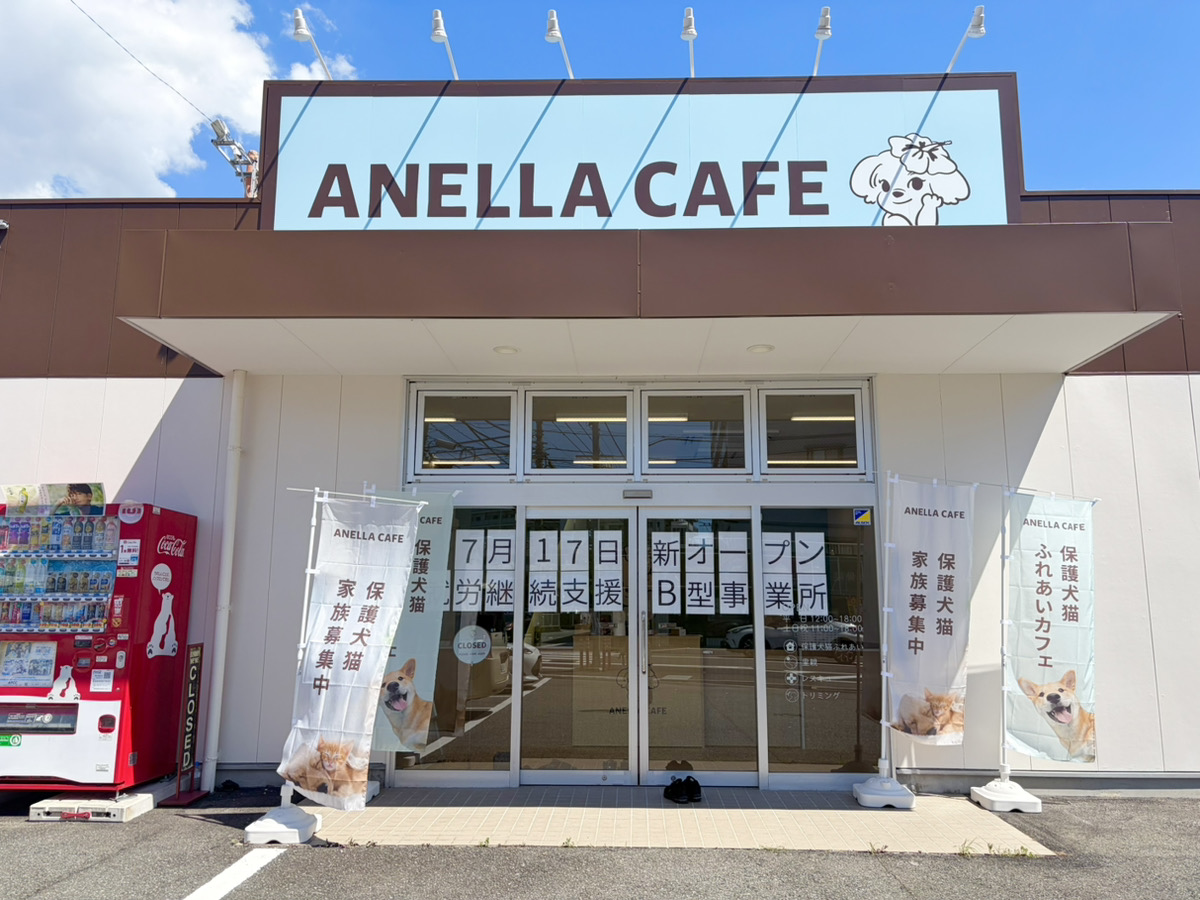ANELLA CAFE【保護犬猫ふれあいカフェ】箱崎店