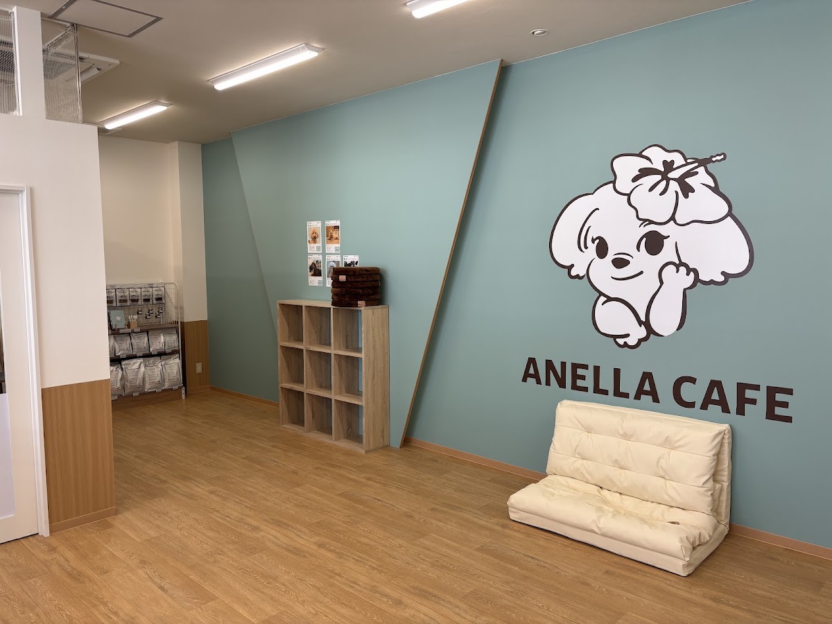 ANELLA CAFE【保護犬猫ふれあいカフェ】箱崎店の実際の写真