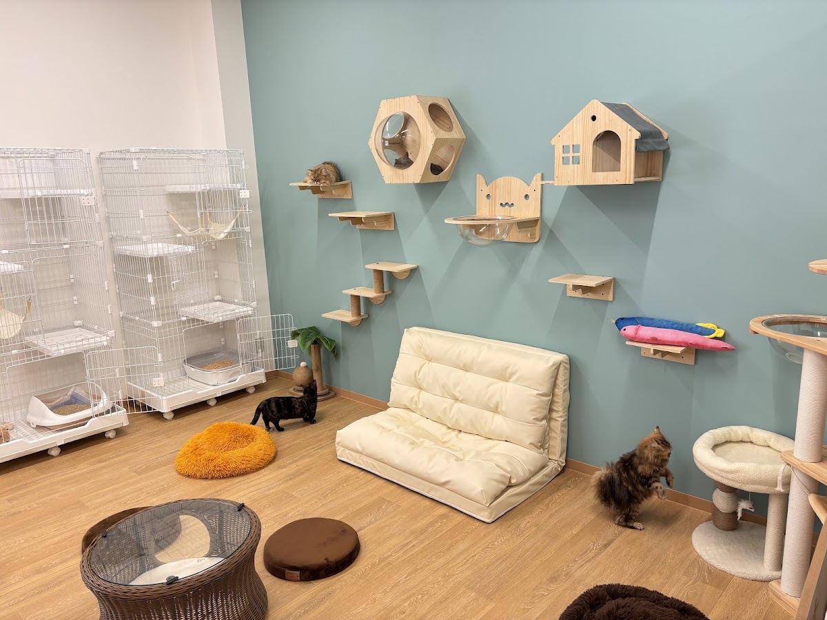 ANELLA CAFE【保護犬猫ふれあいカフェ】箱崎店の実際の写真