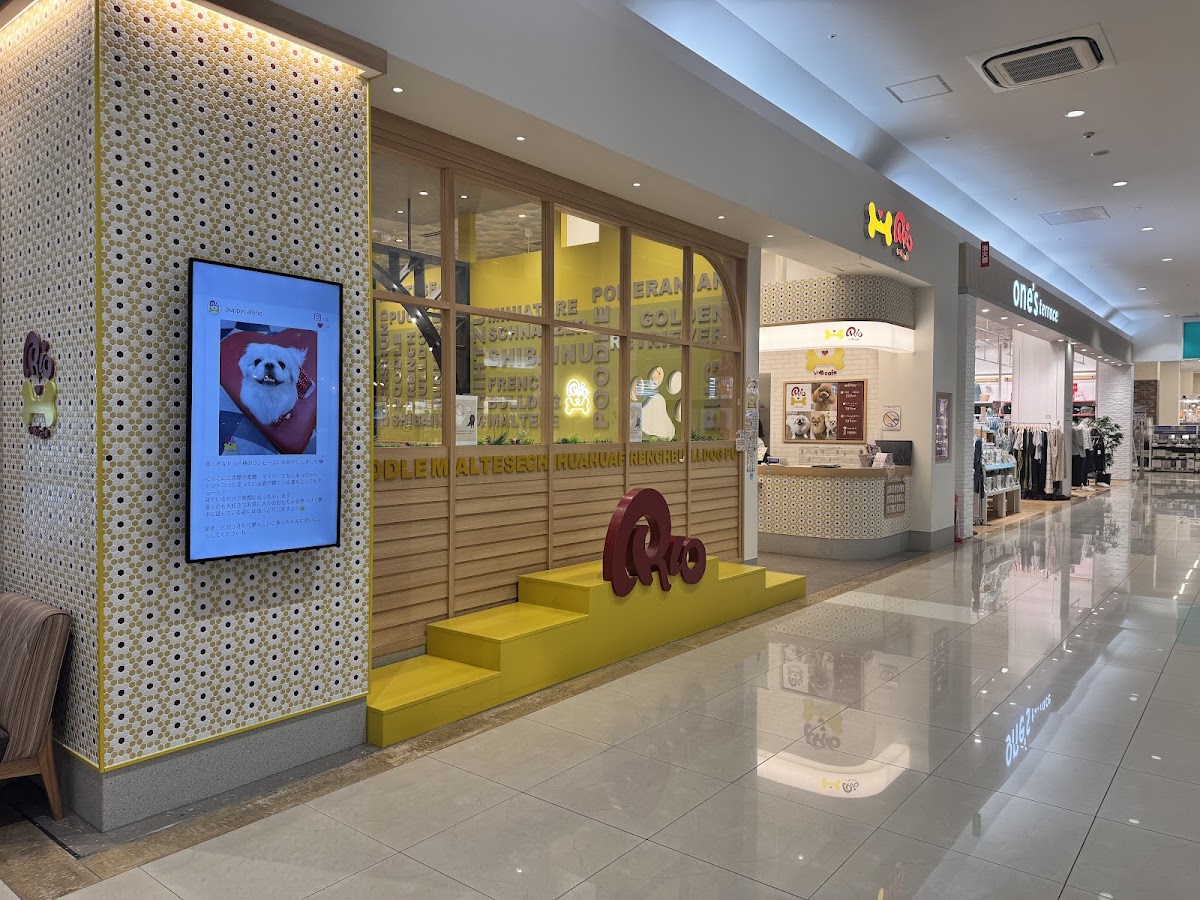 いぬカフェRio 佐賀店