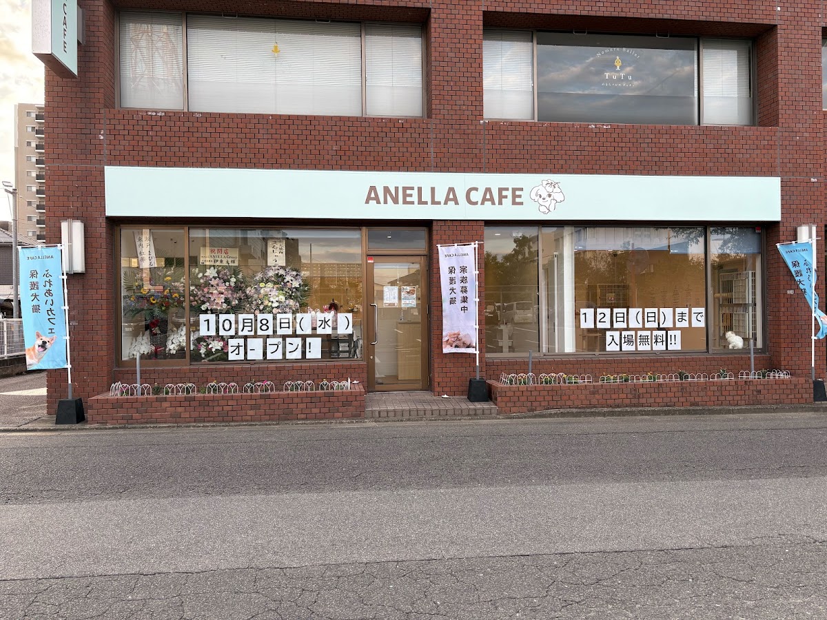 ANELLA CAFE【保護犬猫ふれあいカフェ】佐賀店