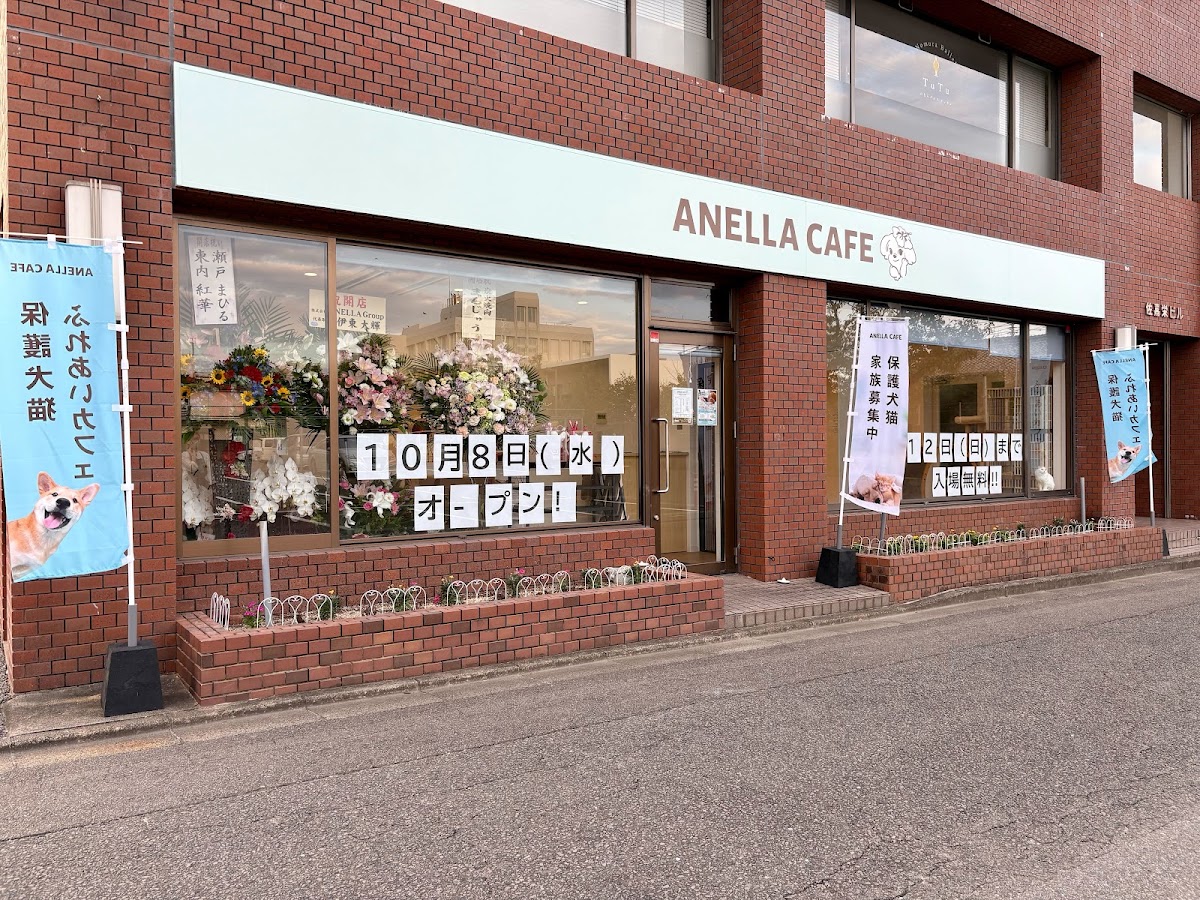 ANELLA CAFE【保護犬猫ふれあいカフェ】佐賀店の実際の写真