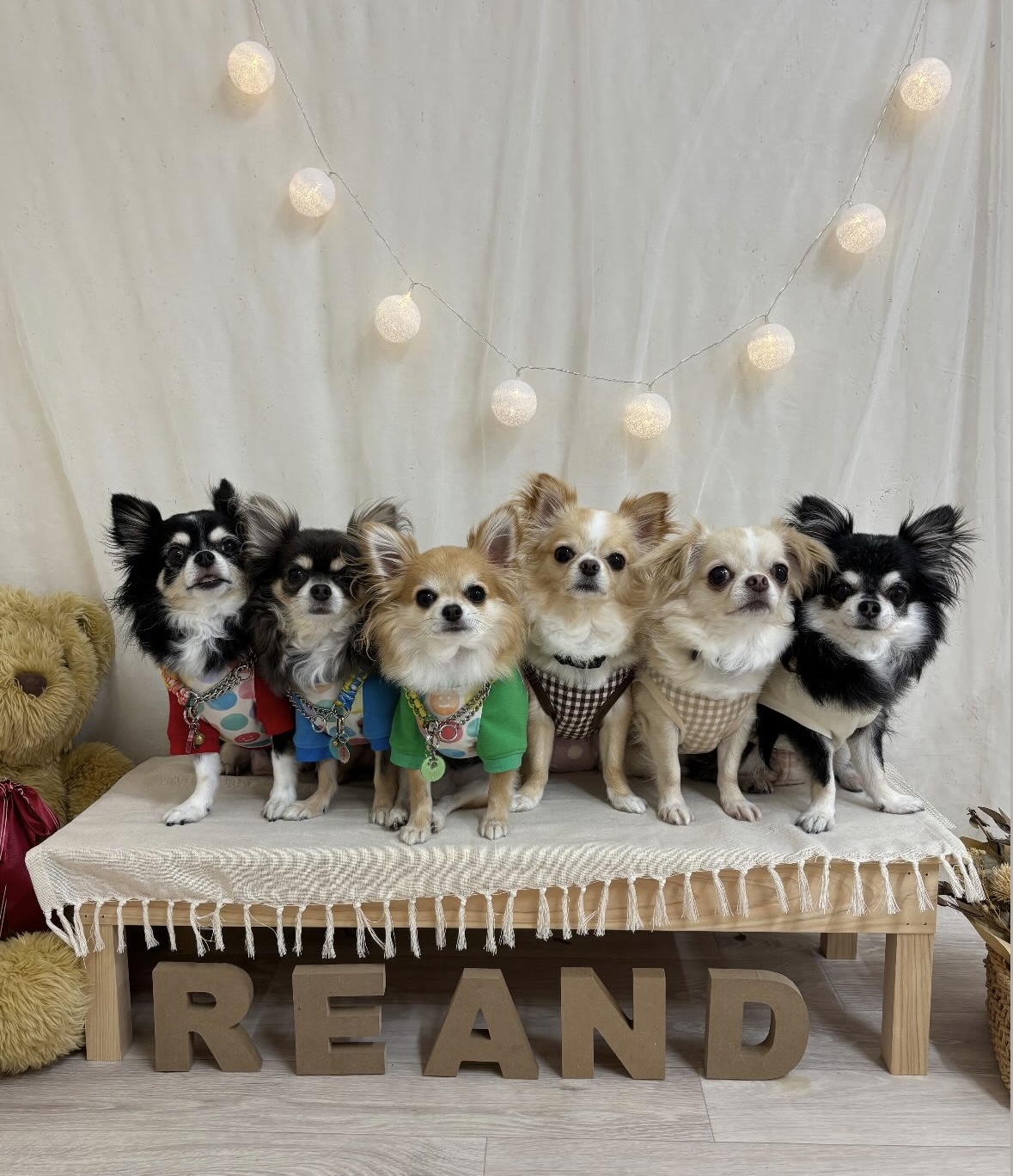 Re:and CAFE with DOG （リアンド）の実際の写真