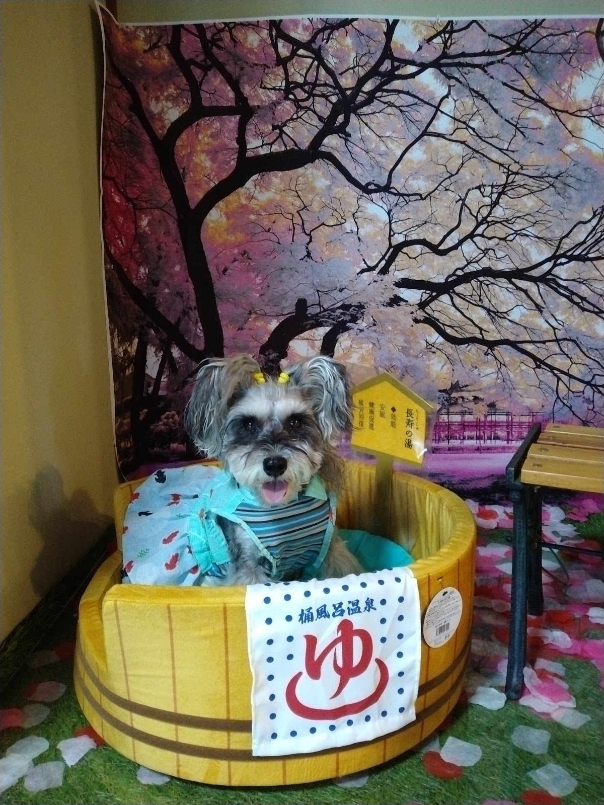 庭カフェの実際の写真