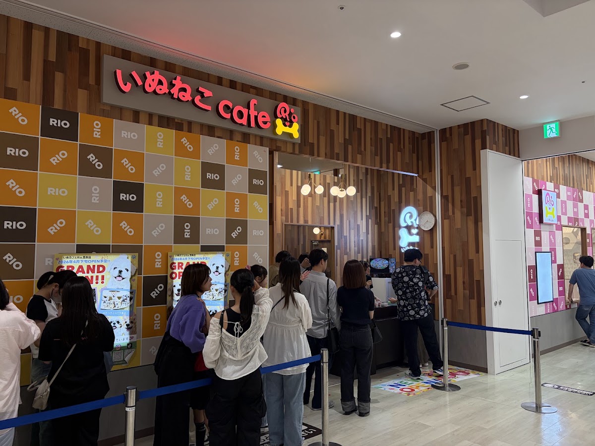 いぬカフェRio ゆめタウン光の森店の実際の写真