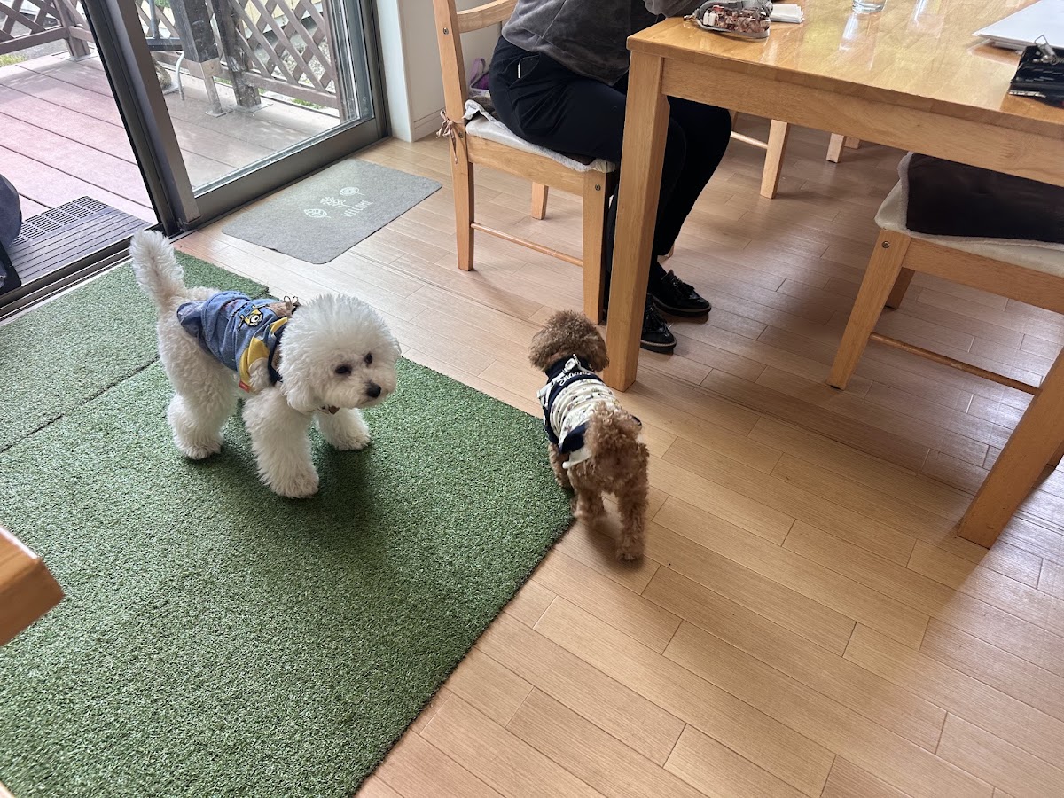 DOG CAFE KURUSANの実際の写真