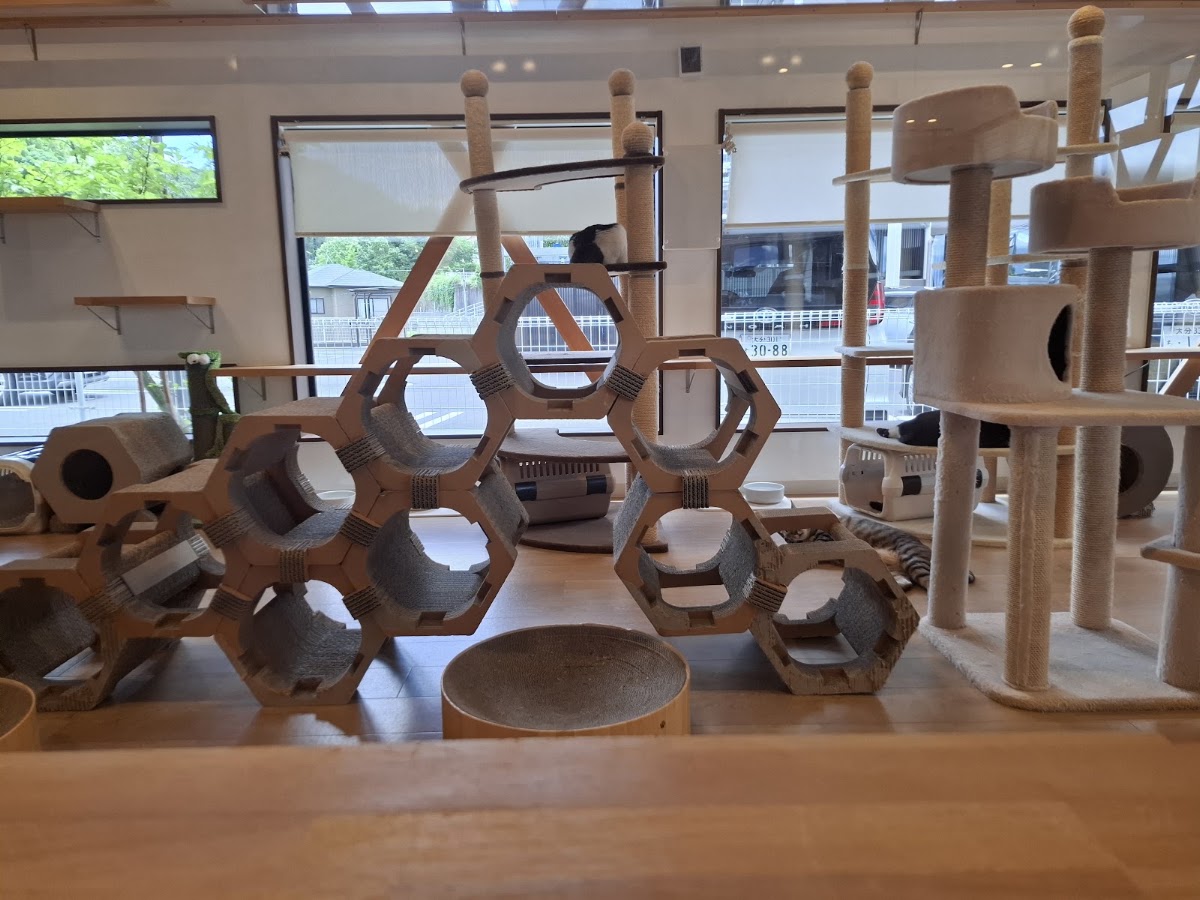 かぎのしっぽ SAKURAZAKA Caféの実際の写真