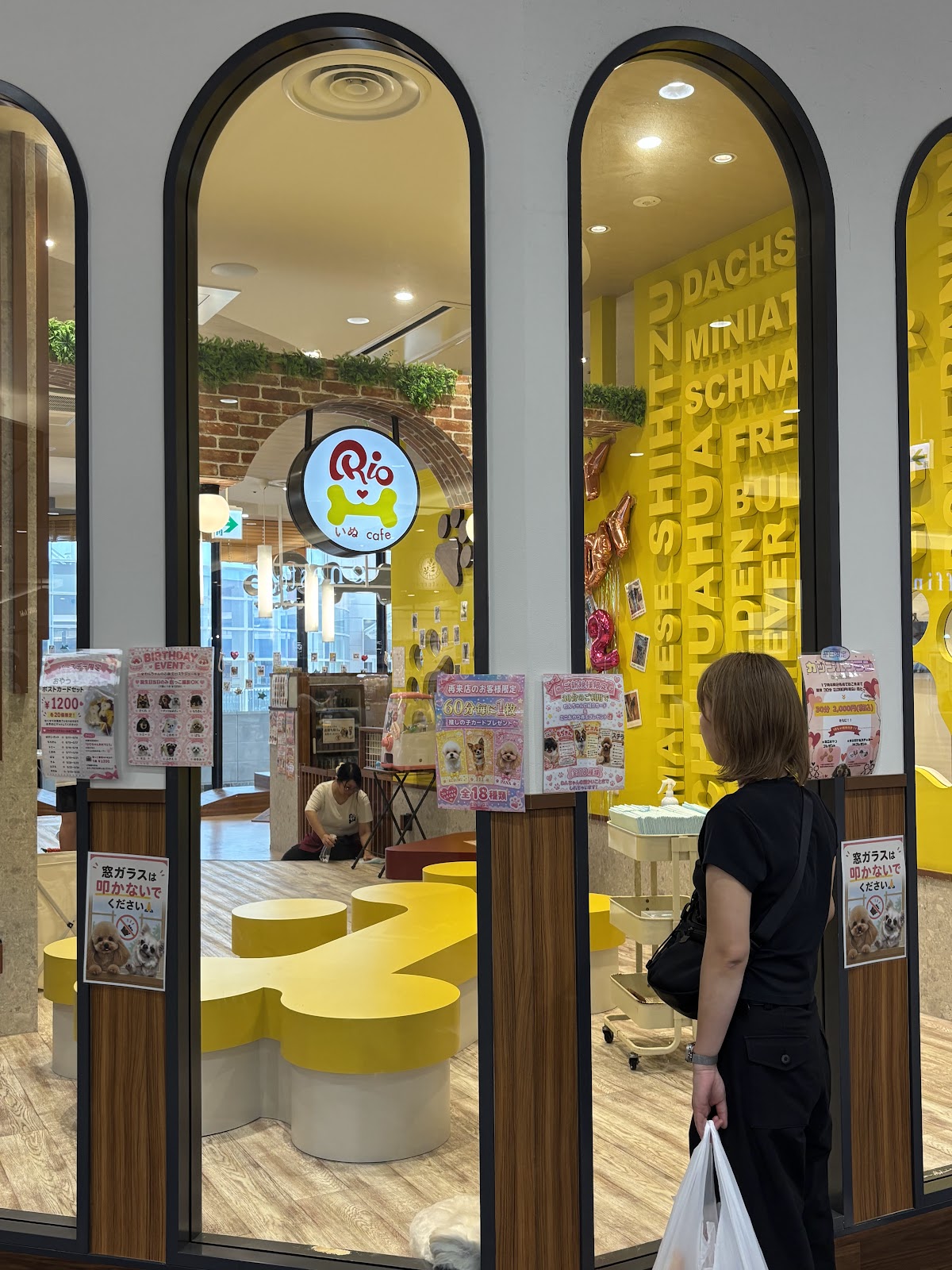 いぬカフェRioイオンモール宮崎店