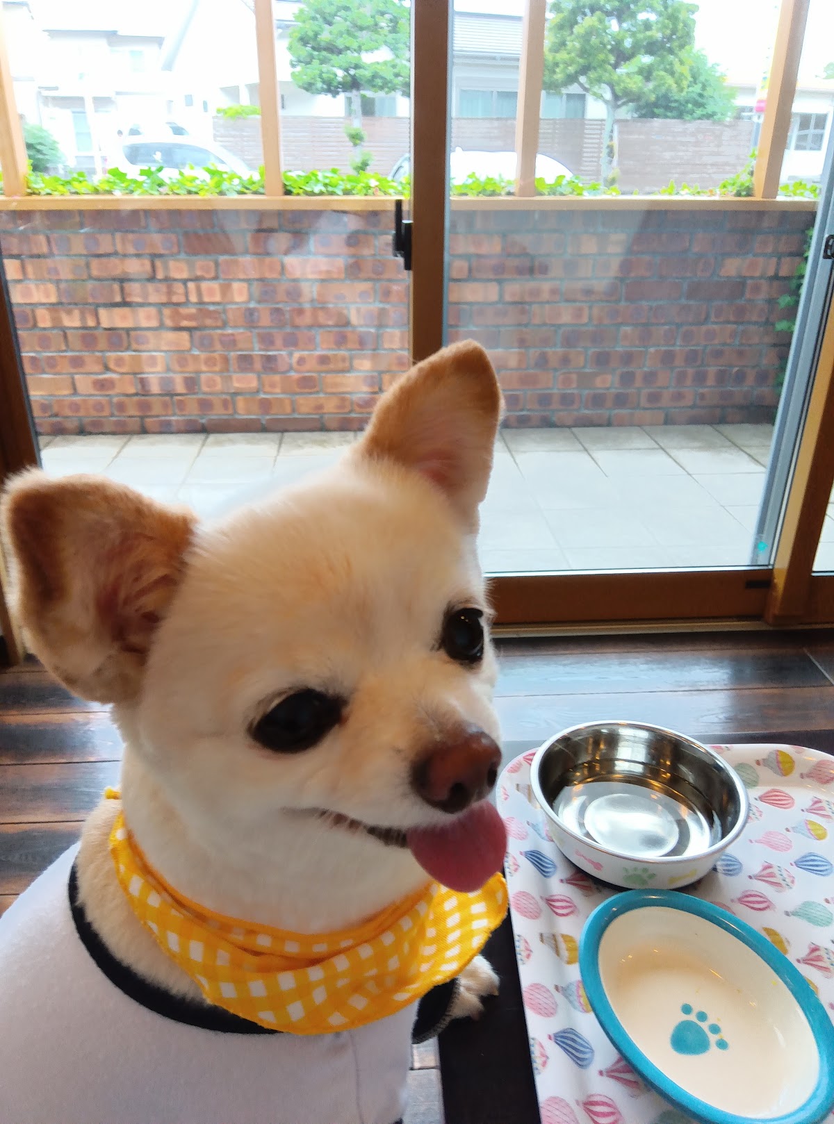 Cafe ミルクの実際の写真