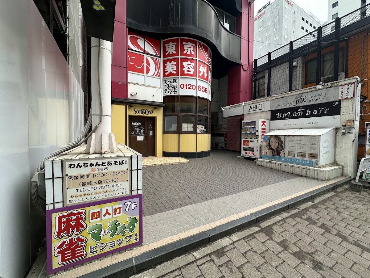 わんちゃんとあそぼ！