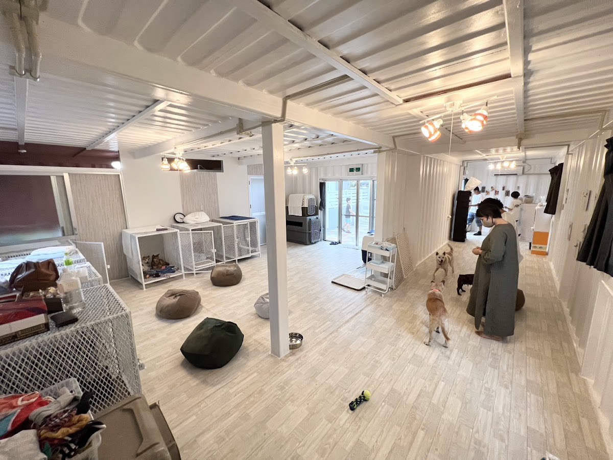 犬カフェワンダフル 嘉手納店