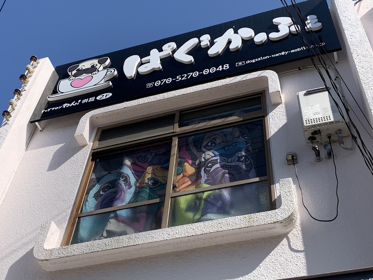 ぱぐかふぇ&ドッグサロンわん！