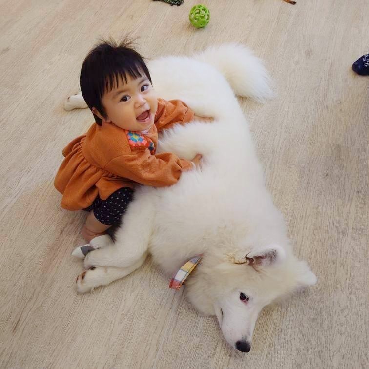 ふれあい体験の実際の写真