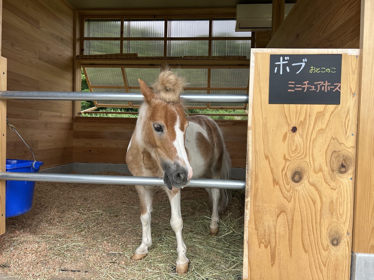 うまのすけcafeの実際の写真