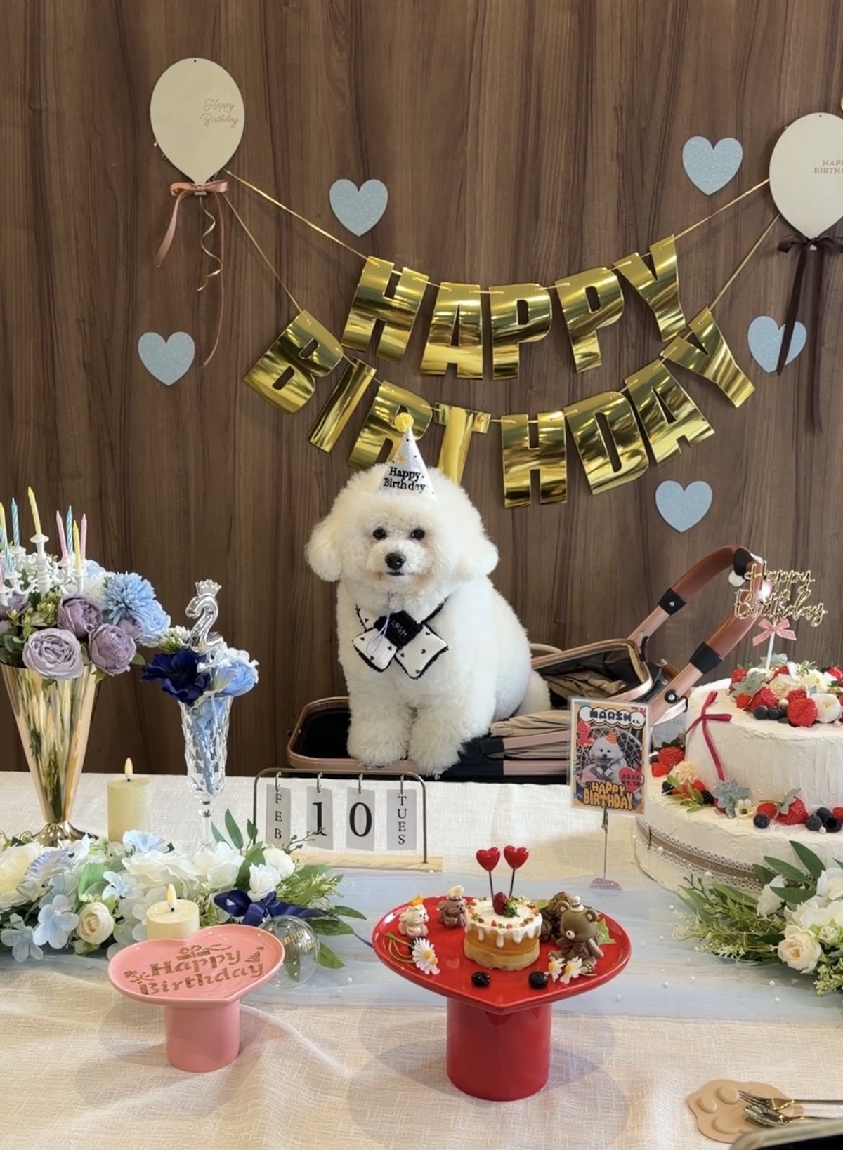 DogRun&Cafeお犬さまパークの実際の写真