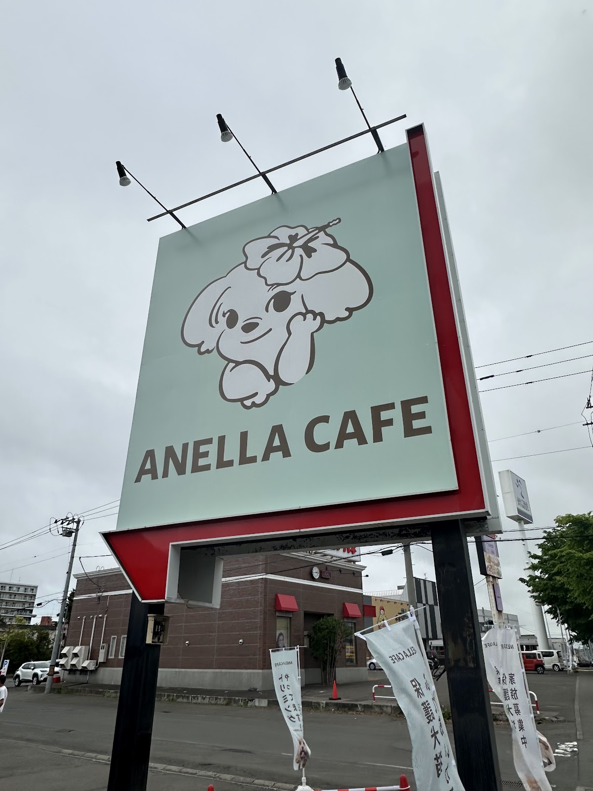 ANELLA CAFE 【保護犬猫ふれあいカフェ】江別野幌店の実際の写真